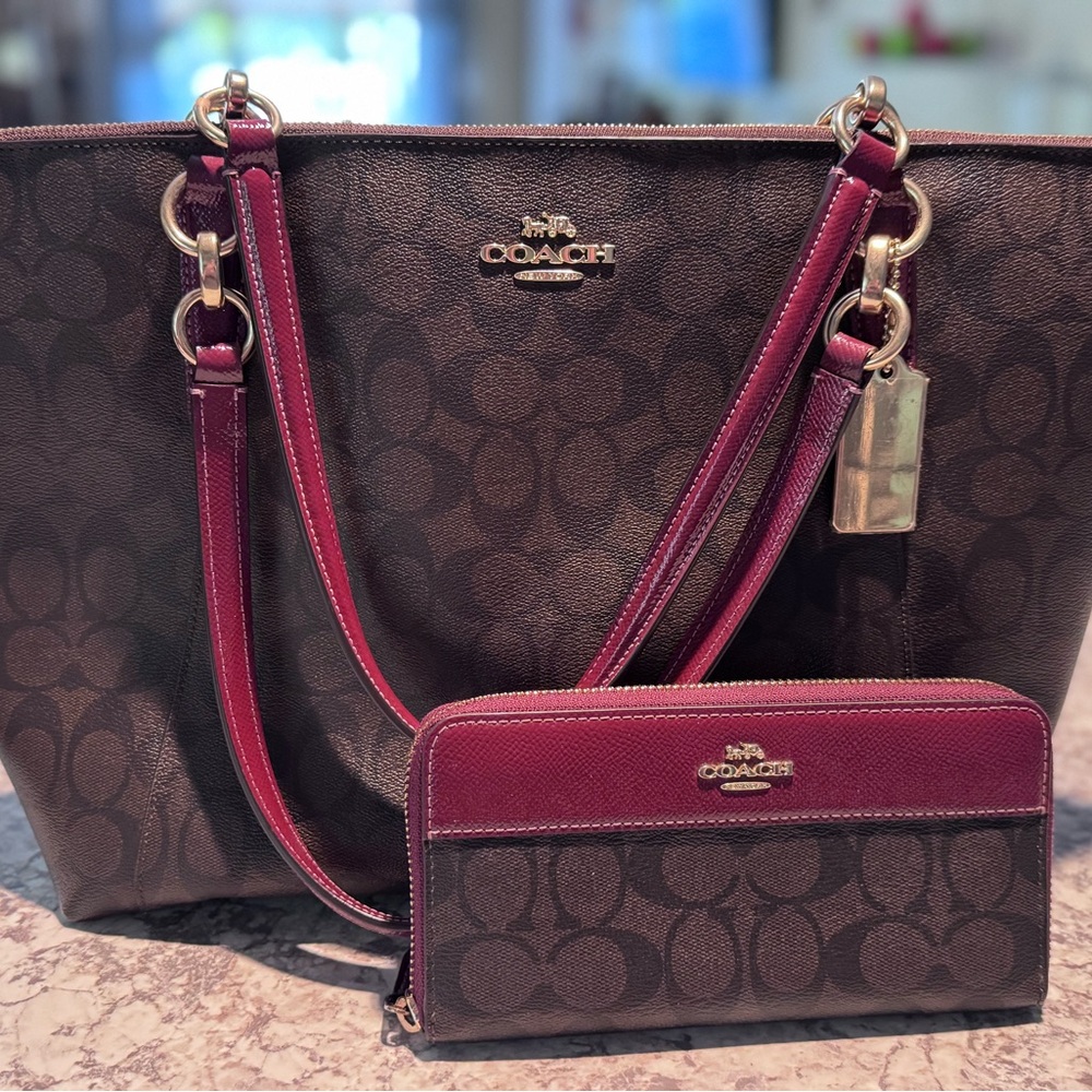 Coach Ava Signature Tote Burgundy and Brown Tote Bag Set